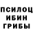 Галлюциногенные грибы Cubensis Theodore Bless