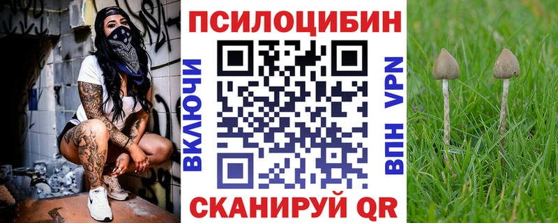 Галлюциногенные грибы Cubensis  Великие Луки 