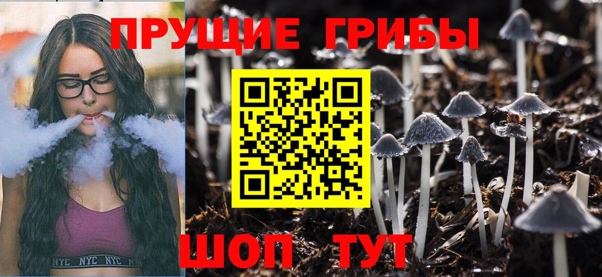 Псилоцибиновые грибы Cubensis  Галлюциногенные грибы Magic Shrooms  Вход с VPN  Великие Луки 