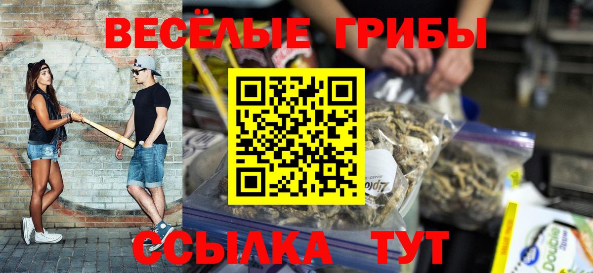 Псилоцибиновые грибы прущие грибы Великие Луки
