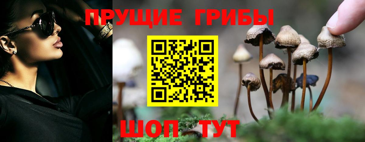 Псилоцибиновые грибы мухоморы Великие Луки